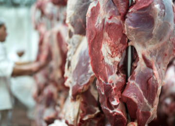 EUA e México importam maiores volumes mensais de carne bovina brasileira da história em abril