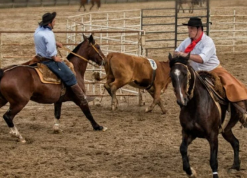 Ranch Sorting agita a Expo Rio Verde nesta quarta com emoção, tradição e espírito esportivo