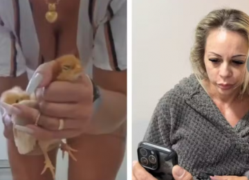 Suspeita de torturar e matar animais esmagando-os para vender vídeos na internet é solta horas após ser presa