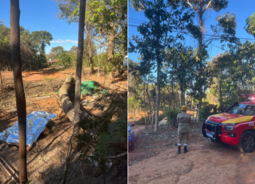 Trabalhador morre após ser esmagado por árvore durante poda em Bela Vista de Goiás