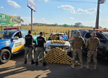 Operação intercepta 130 kg de skunk na GO-060 e prende dois suspeitos