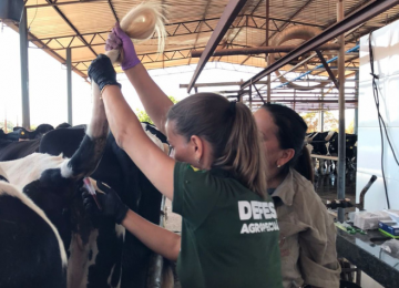 Ações de educação sanitária da Agrodefesa alcançaram cerca de 6 mil pessoas em Goiás, em 2024