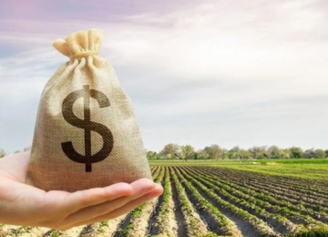 Crédito mais caro no Plano Safra pode agravar crise financeira do agronegócio
