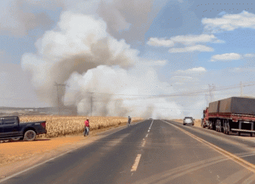 Incêndio às margens da GO-174 interdita rodovia entre Rio Verde e Montividiu