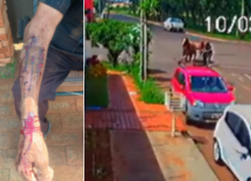 Policial de folga intervém durante ataque de pitbull e ajuda a socorrer idoso em Rio Verde