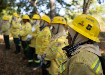 Decreto de Trump suspende programa de combate a incêndios florestais no Brasil financiado pela USAID