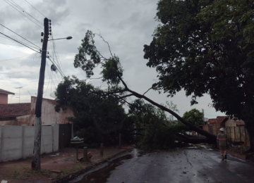 Segurança em dias de chuva: dicas para evitar acidentes elétricos