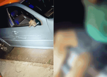 GCM prende mulher embriagada após atropelar criança e fugir sem prestar socorro