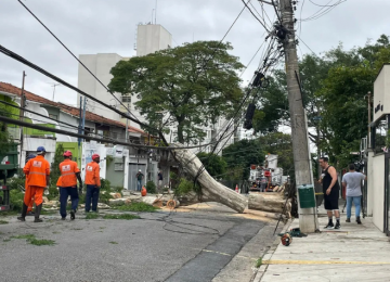 Chuvas e ventos fortes: Tempestades reforçam necessidade de modernização da rede elétrica