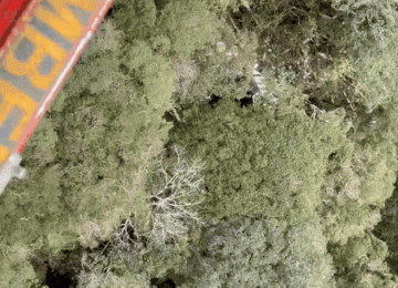 Vídeo mostra local onde helicóptero com cantor Rick foi encontrado em meio à mata; não há sobreviventes