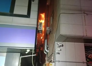 Mulher causa incêndio ao tentar matar barata com lança-chamas improvisado na Coreia do Sul