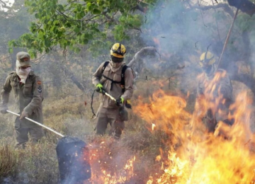 Goiás tem queda nos focos de incêndios em 2025 segundo o Corpo de Bombeiros