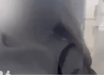 PC prende homem por perseguição e violência psicológica em Santa Helena