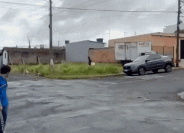 Polícia Militar de Rio Verde prende suspeito por maus-tratos a animal