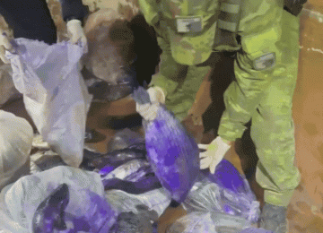 Crime ambiental e maus-tratos: operação conjunta fecha ponto clandestino no Solar do Ataídes 2