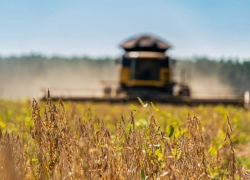 Agronegócio domina 78,1% das exportações goianas de 2020