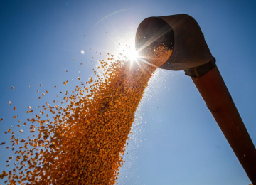 Brasil caminha para novo recorde na produção de grãos, aponta Conab