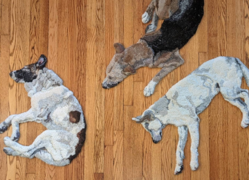 Tapetes hiper-realistas de cães causam reação nas redes; 