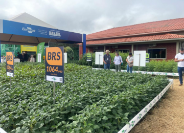 Ciência e inovação impulsionam o agro na Tecnoshow COMIGO 2026 em Rio Verde