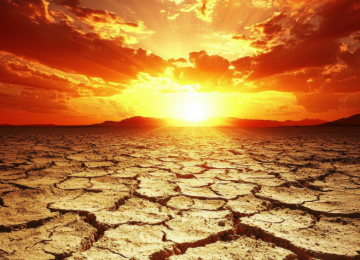 2025: UM MARCO CLIMÁTICO QUE EXIGE AÇÃO IMEDIATA