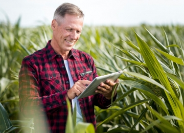 Obrigatoriedade da Nota Fiscal Eletrônica para produtor rural é prorrogada