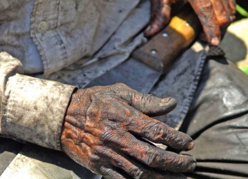 Goiás tem cerca de 135 casos de trabalho escravo