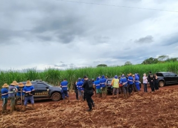 Em Goiás mais de 212 trabalhadores em condições análogas à escravidão são resgatados 