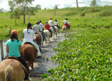 TURISMO RURAL: UMA OPORTUNIDADE PARA PRODUTORES RURAIS E AGRICULTORES FAMILIARES