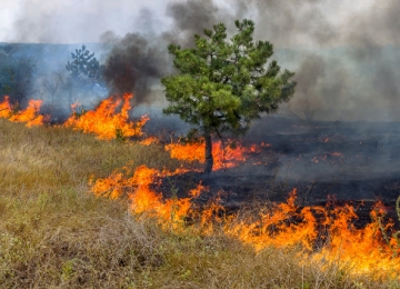 Sudoeste goiano registra aumento de 69% nas queimadas