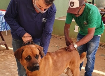 Vacinação antirrábica para Pets continua hoje na Zona Rural de Rio Verde