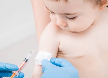 É iniciada a distribuição da vacina pentavalente em Goiás