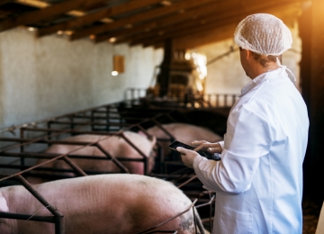 CNA debate impactos de decreto que altera regulamento de inspeção sanitária de produtos de origem animal