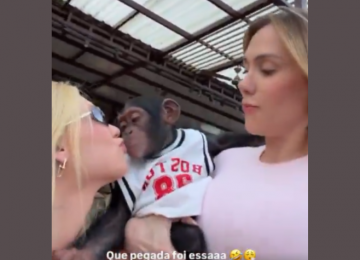 Virginia se pronuncia após acusações de racismo envolvendo vídeo com macaco e legenda em Dubai