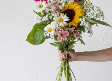 Procon Rio Verde aponta que flores são o presente mais adquirido no Dia das Mães