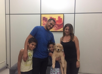 Polícia Civil recupera animal furtado em Rio Verde
