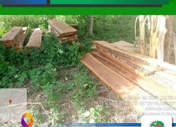 Polícia Ambiental apreende madeiras sem licença no distrito de Lagoa do Bauzinho