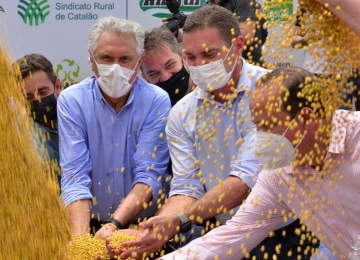 Governador abre colheita de soja com expectativa de recorde da safra 