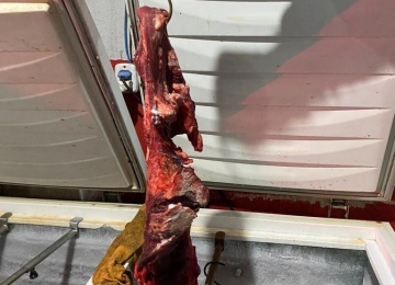 Polícia Civil de Goiás apreende mais de 800 kg de carne bovina imprópria para consumo