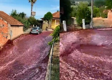  'Enchente de vinho' inunda ruas em Portugal após ruptura de depósito