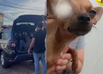 Homem é preso em flagrante após ter agredido cadela com taco de beisebol em Rio Verde
