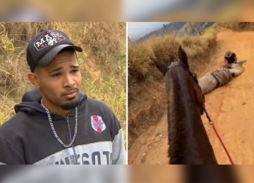 'Cortei por cortar': homem que cortou patas de cavalo disse que estava alcoolizado