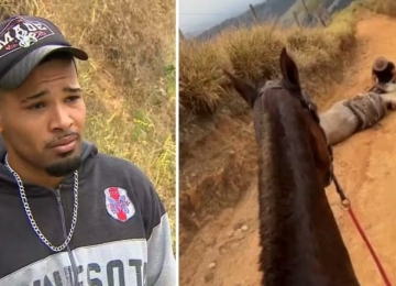 Perícia conclui que cavalo estava vivo quando tutor mutilou patas com facão