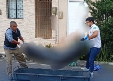 Babá de 27 anos é assassinada pelo ex-marido da patroa