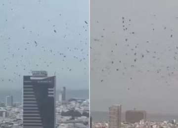 Imagens assustam e levantam uma dúvida: é só natureza mesmo?