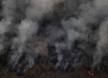 Ibama autoriza contratação de brigadas federais para combater incêndios na Amazônia