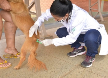 Zoonoses divulga calendário de vacinação contra raiva para cães e gatos na zona rural de Rio Verde