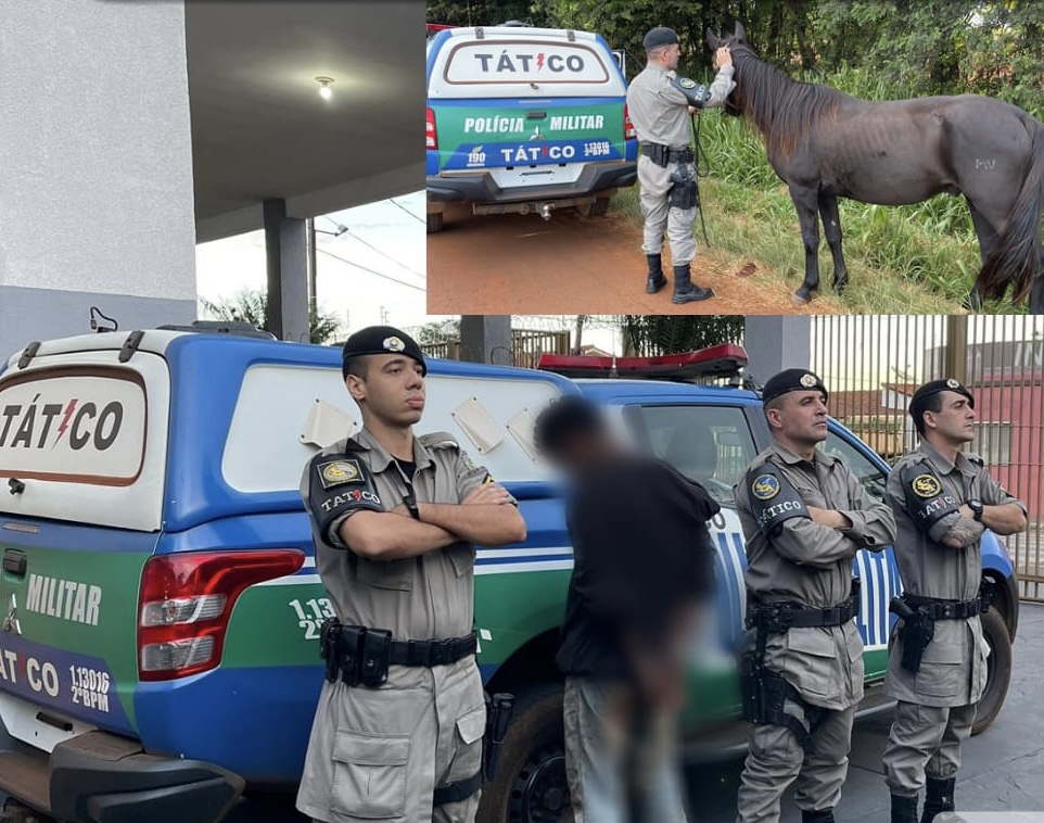 Polícia recupera cavalo furtado do Clube Dona Gercina