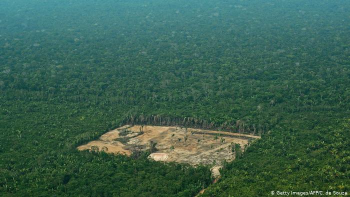 Porcentagem de desmatamento na Amazônia bate recorde