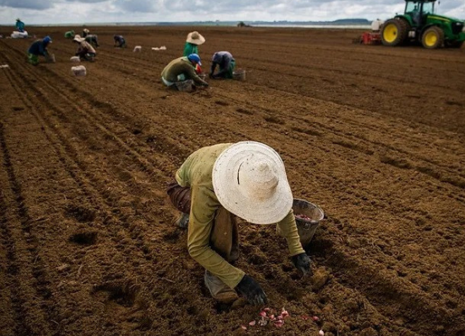 HOMENS É A GRANDE MAIORIA NA OCUPAÇÃO DE VAGAS DE TRABALHO OFERTADAS PELO AGRO