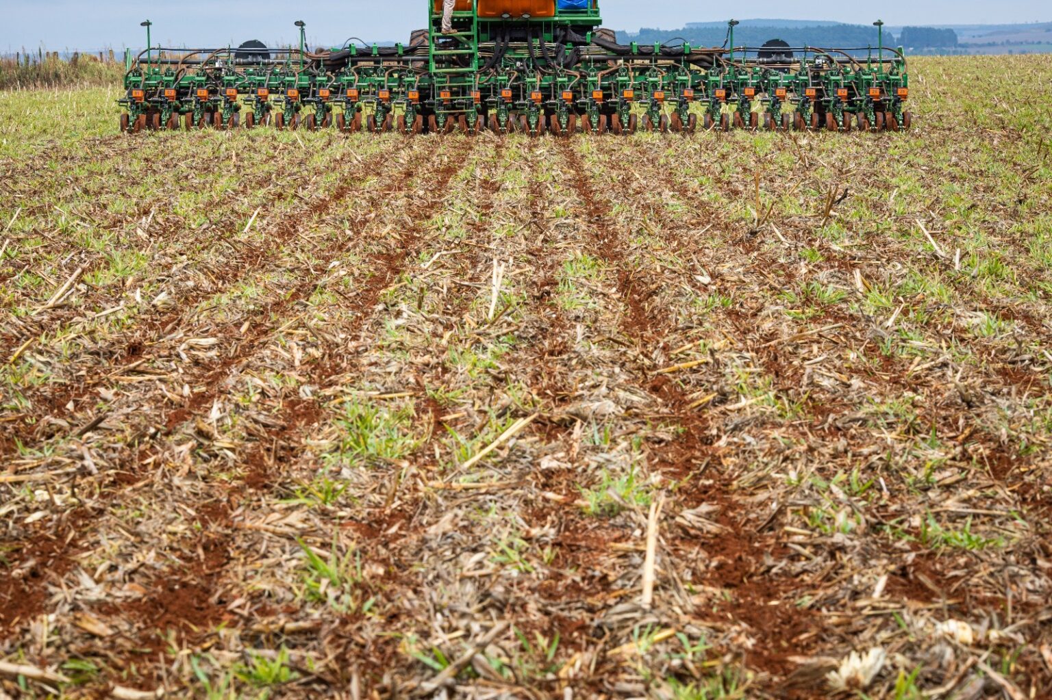 Prazo para a semeadura da soja é estendido e vai até o dia 12 de janeiro em Goiás